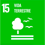15 vida terrestre com árvores e pássaros com fundo verde