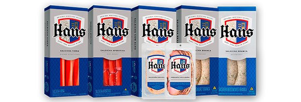 hans_618x211