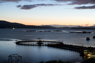 Aquisitions and expansion in Europe, the U.S and Australia