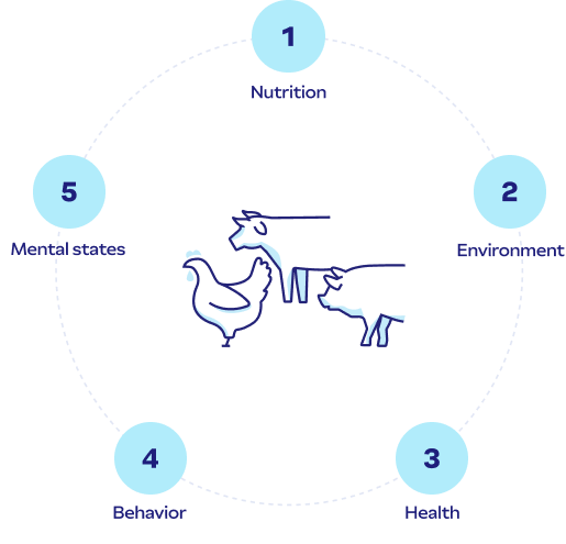 Diagram showing the Five Domains of animal welfare.