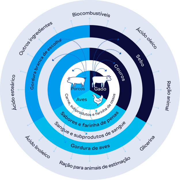 Circular infographic showing by-products from cattle, pigs, and poultry.