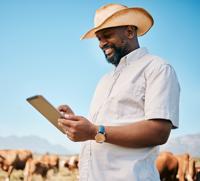 Man in straw hat using tablet in field with cattle and mountains.