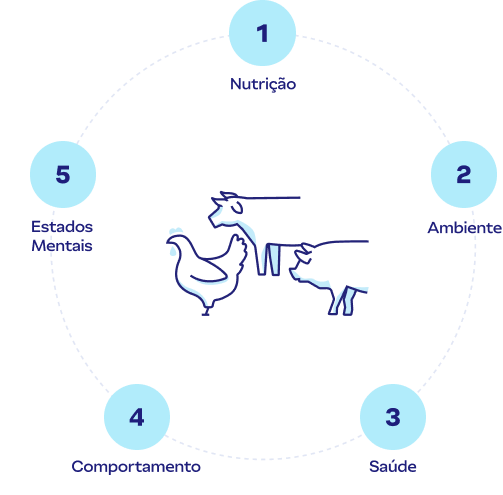 Infográfico circular com os 5 pilares do bem-estar animal.