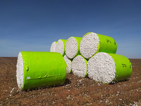 Ambiental_Cotton Wrap PCR.jpeg